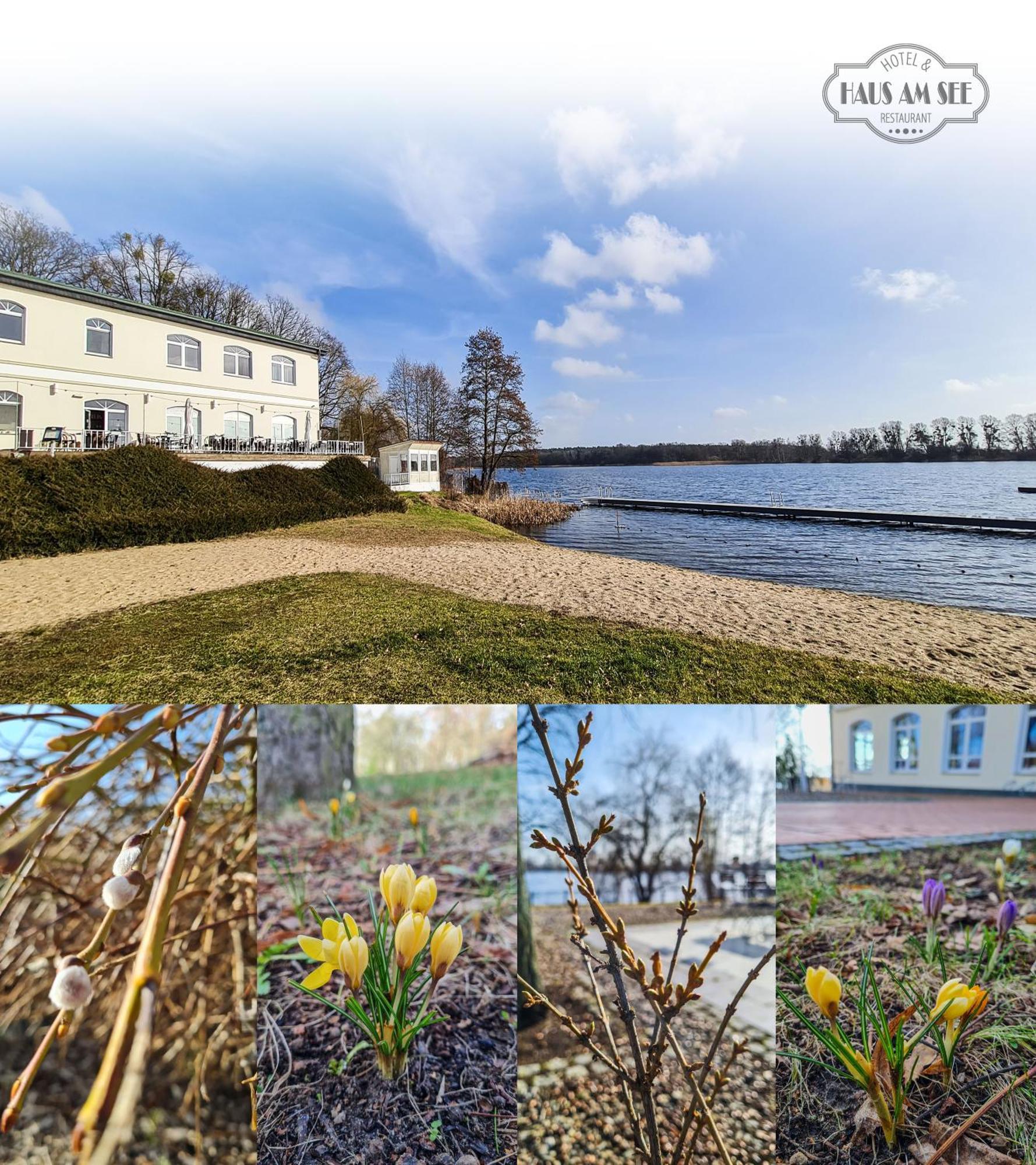 Hotel & Restaurant Haus Am See Locknitz Экстерьер фото